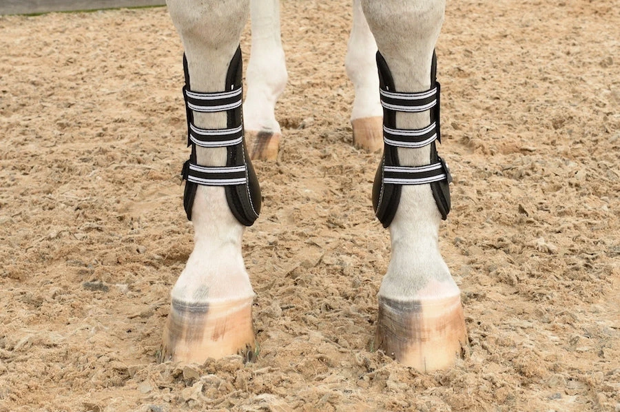 Equifit Original Front Boot 3 Equifit Original Front Boot - Image 3