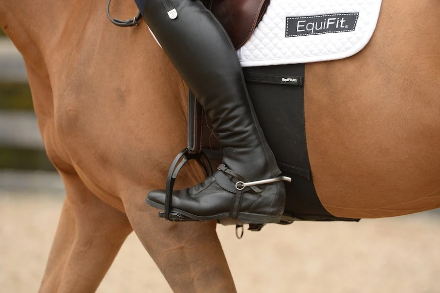Equifit BellyBand 1 Equifit BellyBand
