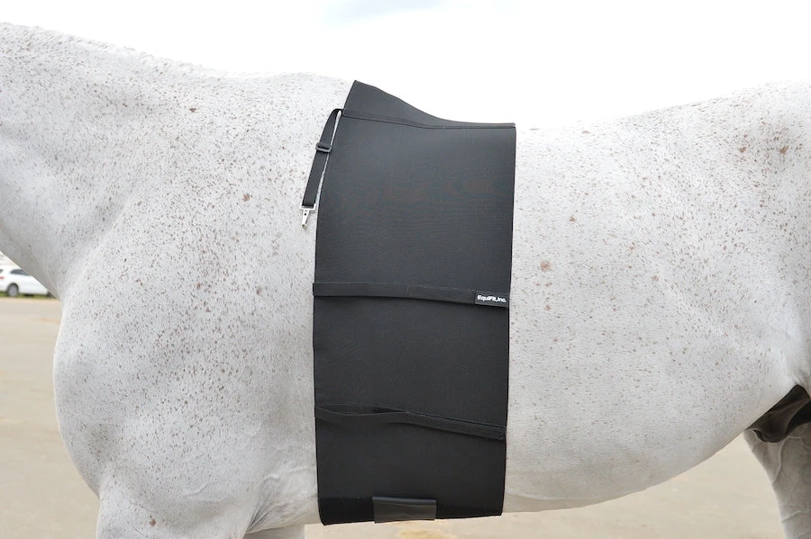 Equifit BellyBand 2 Equifit BellyBand - Image 2