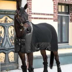 Back On Track Mesh Rug With Neck DELUXE -Sports - Equestrian Sports 1000 by 1000 d meshb