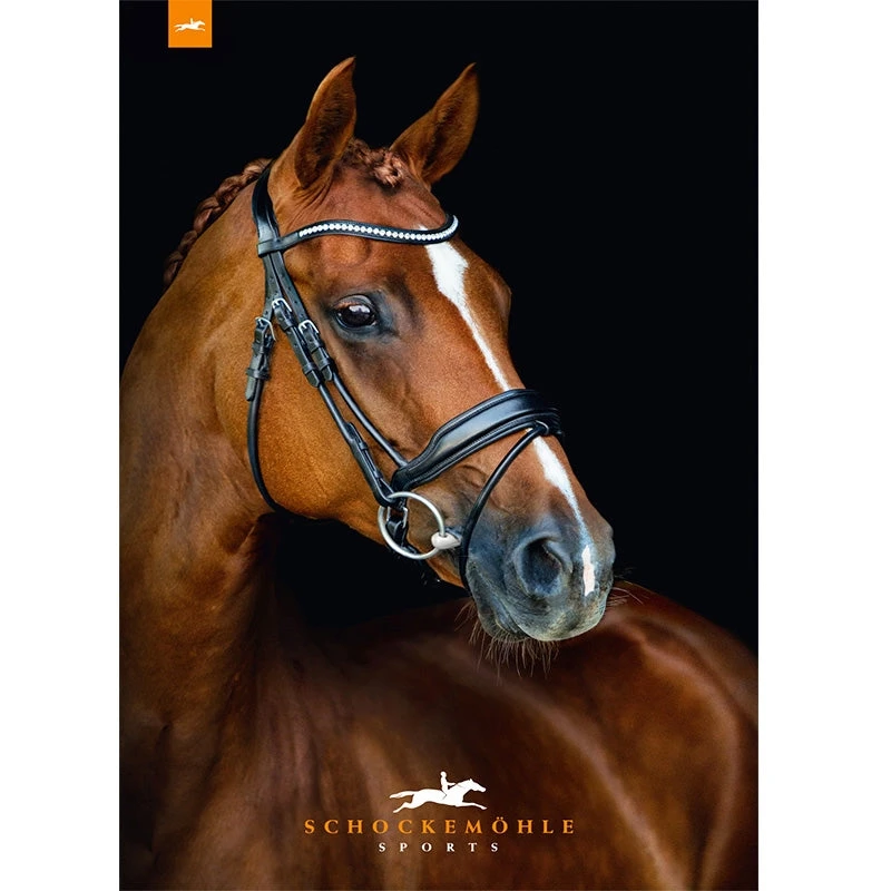 Schockemohle Malibu Bridle 1 Schockemohle Malibu Bridle