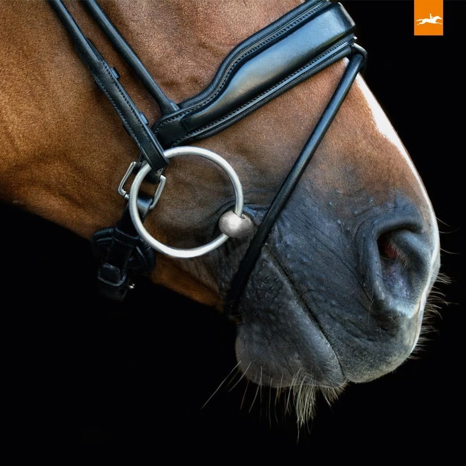 Schockemohle Malibu Bridle 2 Schockemohle Malibu Bridle - Image 2
