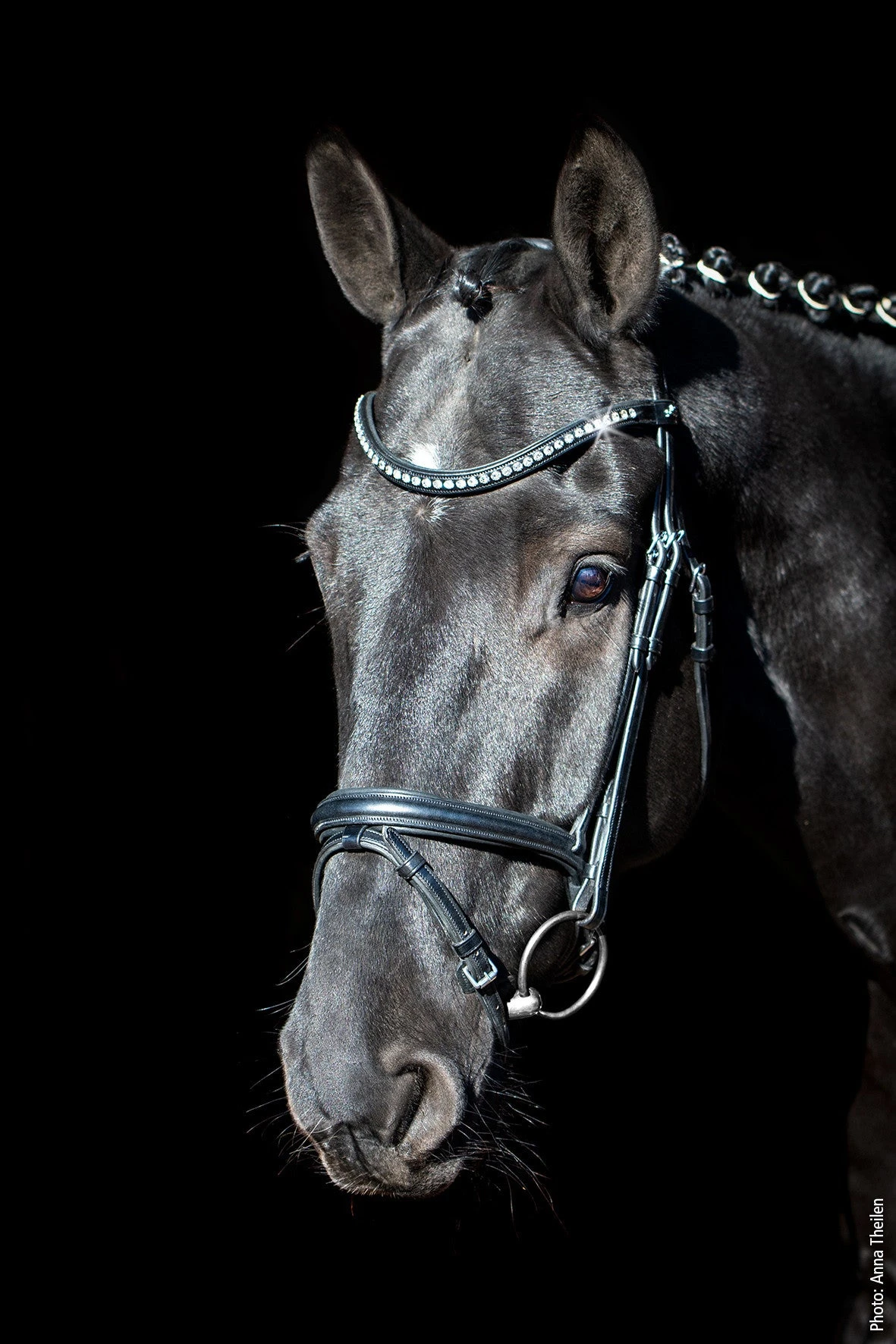 Schockemohle Rome Select Anatomical Bridle 1 Schockemohle Rome Select Anatomical Bridle