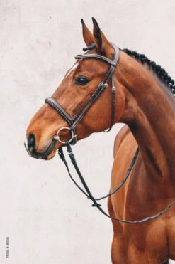 Schockemohle Montreal Bridle Less Reins