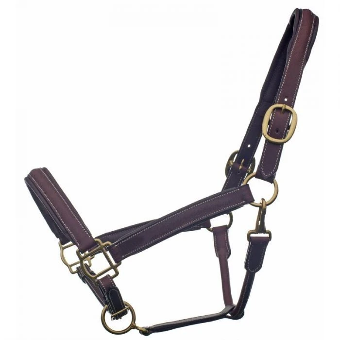 Bromont Raised And Padded Leather Halter 1 Bromont Raised And Padded Leather Halter
