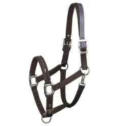 Schockemohle Memphis Breakaway Halter 7 Schockemohle Memphis Breakaway Halter -Sports - Equestrian Sports 1311 00020 Memphis Breakaway chocolateI5WSVM7zuUP6J