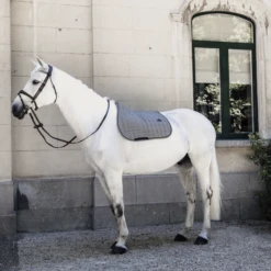 Kentucky Saddle Pad Pied-de-Poule Jumping -Sports - Equestrian Sports 14052020 485a1774 564c22e810080218547dfa1c1093aa08 article photobook l