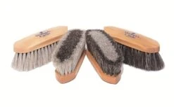 Winner's Circle Horsehair Dandy Brush