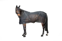 BACK ON TRACK - SIENNA MESH SHEET