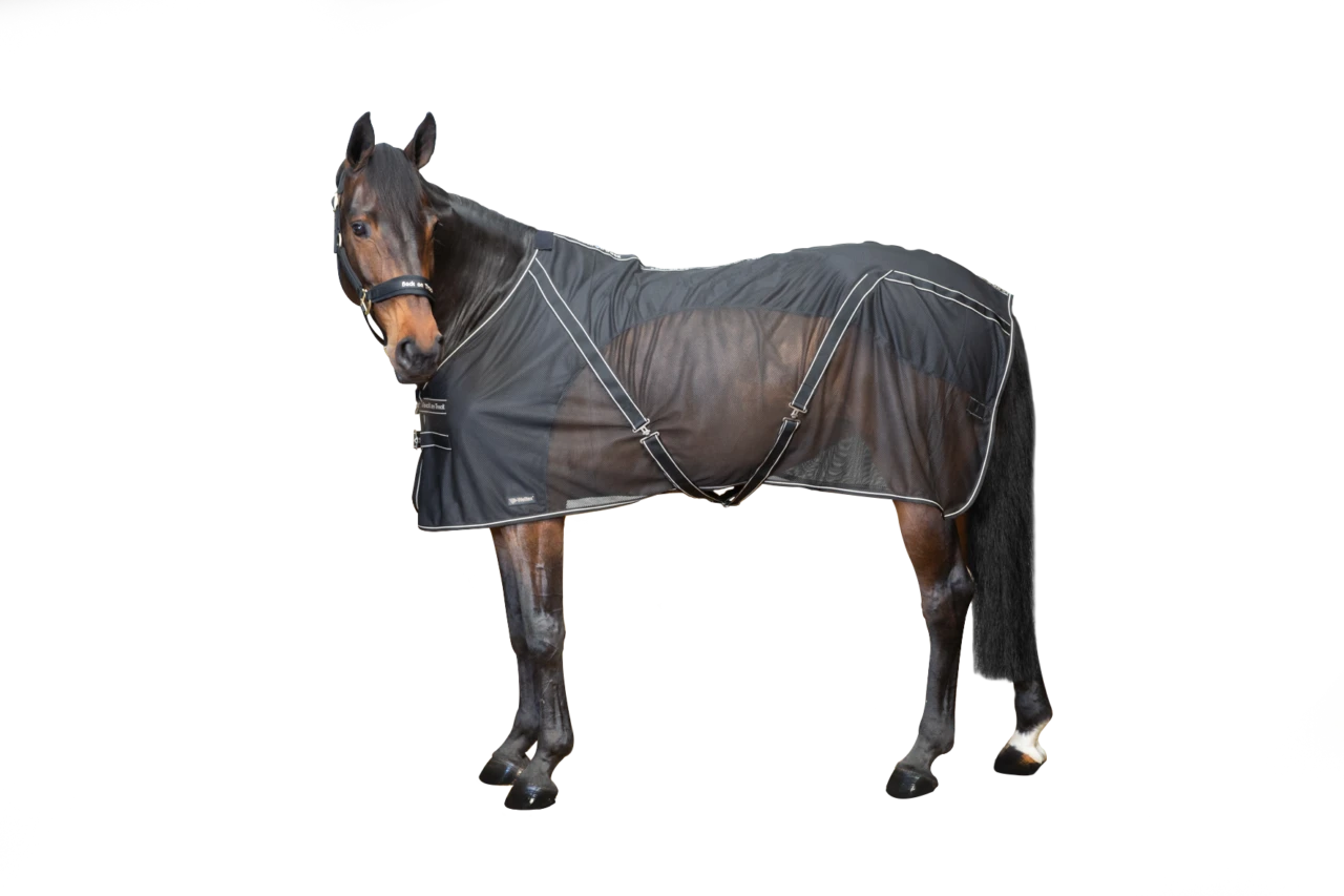 BACK ON TRACK - SIENNA MESH SHEET 1 BACK ON TRACK - SIENNA MESH SHEET