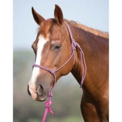Mustang Mountain Rope Halter With Lead -Sports - Equestrian Sports 3426 2000x2000 1