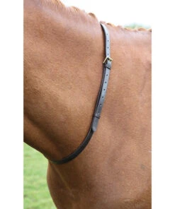 Tapestry Leather Neck Strap