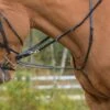 Blenheim German Martingale