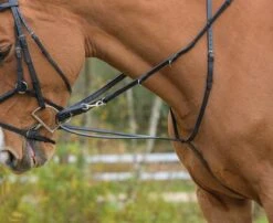Blenheim German Martingale