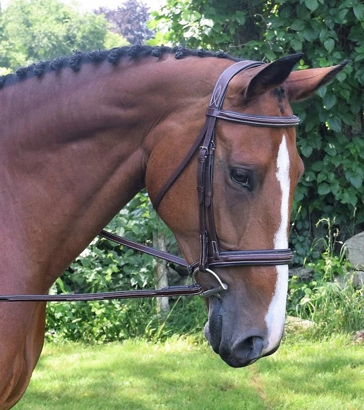 KL Select Black Oak Laurel Pony Hunter Bridle 1 KL Select Black Oak Laurel Pony Hunter Bridle
