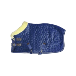 KENTUCKY HORSEWARE - SHOW RUG VELVET 160G -Sports - Equestrian Sports 52171 03 a929523bbdd099ba1a676b6771a9e673 article photobook m