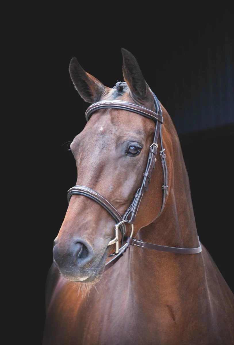 Shires Rossano Amalfi Bridle 1 Shires Rossano Amalfi Bridle
