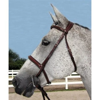 HDR Pro Stress Free Padded Bridle 1 HDR Pro Stress Free Padded Bridle