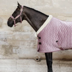 KENTUCKY HORSEWARE - SHOW RUG VELVET 160G