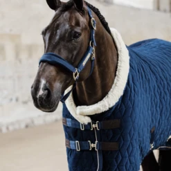 KENTUCKY HORSEWARE - SHOW RUG VELVET 160G -Sports - Equestrian Sports 5n1a2571 a929523bbdd099ba1a676b6771a9e673 article photobook m