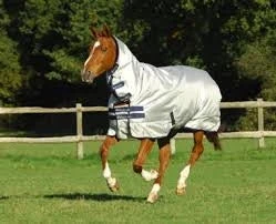 Bucas Power Lite 1 Bucas Power Lite