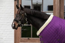 KENTUCKY SHOW RUG -Sports - Equestrian Sports 63c94f388e0b2 e838d286fa9d582c860431ea475a886b2d16534a 485A0533