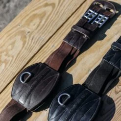 Dressage Tapestry Girth 5 Dressage Tapestry Girth -Sports - Equestrian Sports 6O4A6730 2000x 5b837d84 a79a 4e6e ad69 f7df273fc52a