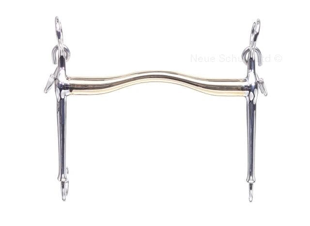 Neue Schule Starter Weymouth 1 Neue Schule Starter Weymouth