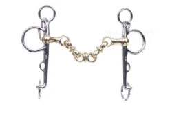 Neue Schule Waterford Pelham