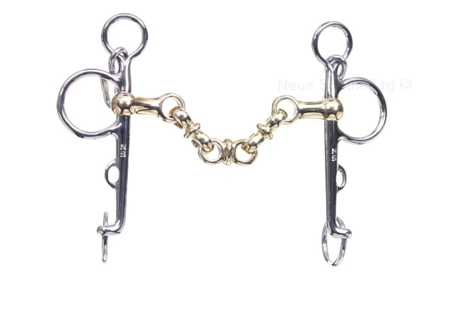 Neue Schule Waterford Pelham 1 Neue Schule Waterford Pelham