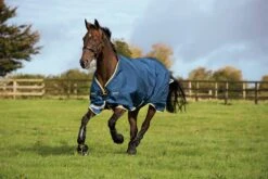 Horseware Ireland Rambo Original (100g)