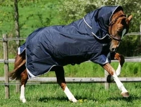 Horseware Ireland Rambo Duo Heavy 1 Horseware Ireland Rambo Duo Heavy