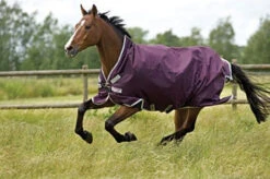 Horseware Ireland Rambo Wug Lite