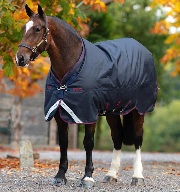 HORSEWARE IRELAND - Amigo Bravo 12 XL LITE 0g