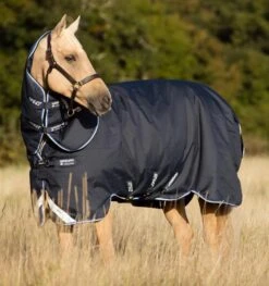 Sports - Equestrian Sports 5 Sports - Equestrian Sports -Sports - Equestrian Sports AARP70 BCSK1 amigo bravo blanket turnout