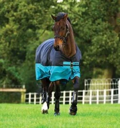 Horseware Ireland Amigo Mio Lite Turnout -Sports - Equestrian Sports AASA41 KCTK