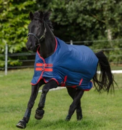 Horseware Ireland Amigo Mio Medium Turnout