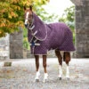 HORSEWARE IRELAND - Amigo Stable Plus-Disc Front 200g