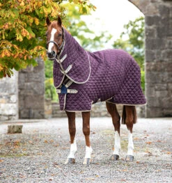 HORSEWARE IRELAND - Amigo Stable Plus-Disc Front 200g