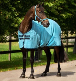 Horseware Ireland Amigo Stable Sheet 8 Horseware Ireland Amigo Stable Sheet -Sports - Equestrian Sports ADRF22 DBB0