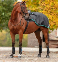 Horseware Ireland Amigo Competition Sheet