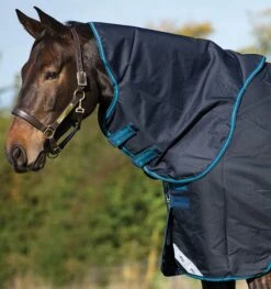Horseware Ireland Amigo Hood 0G 9 Horseware Ireland Amigo Hood 0G -Sports - Equestrian Sports AmigoBravo150navy electricAARN41 BBE0 AARN42 BBE0
