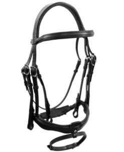Antares Dressage Origin Bridle