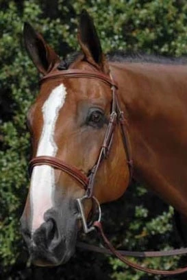 Vespucci Fancy Raised Hunter Bridle 1 Vespucci Fancy Raised Hunter Bridle
