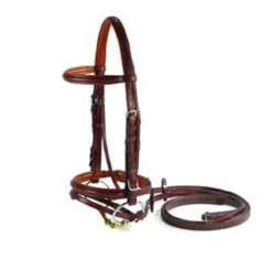 Vespucci Plain Raised Jump Bridle
