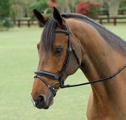 Vespucci Traditional Dressage Bridle