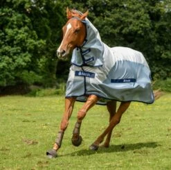 Bucas Buzz-Off Rain Sheet Full Neck