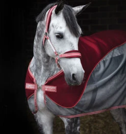 Horseware Ireland Horseware Fashion Airmesh Halter