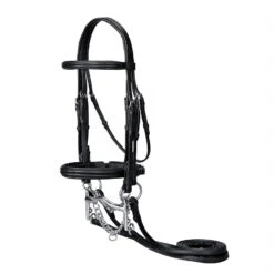 Vespucci Double Raised Weymouth Dressage Bridle