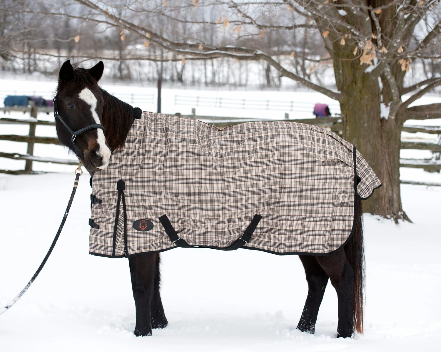 Plaid Rainsheet 2 Plaid Rainsheet - Image 2